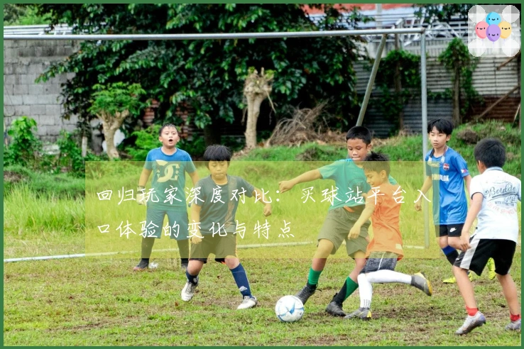 回归玩家深度对比：买球站平台入口体验的变化与特点